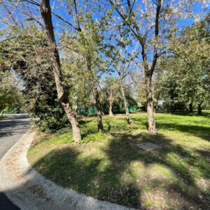 Venta terreno en B Cdo Los Berros II